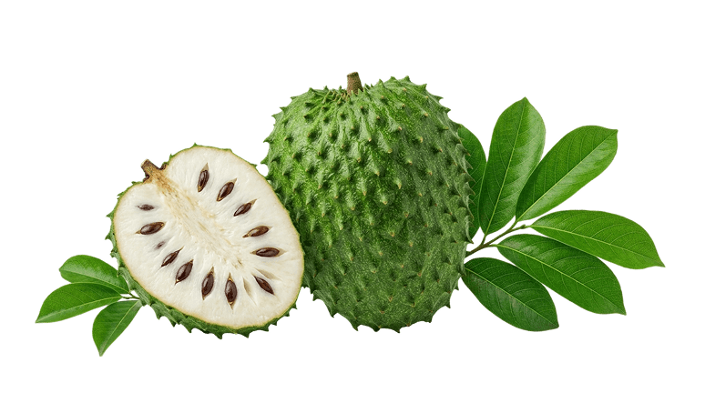 Soursop fruit cut in half