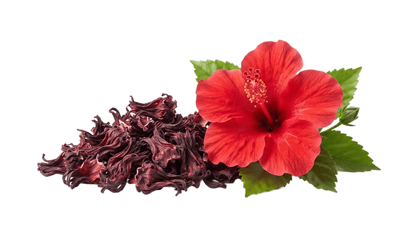 Dried hibiscus flower